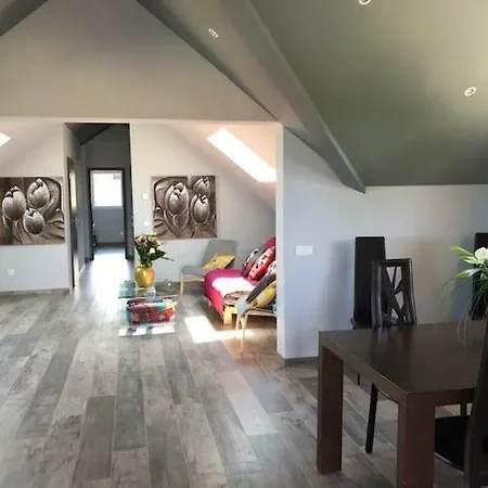 Apartment Modern Attic *